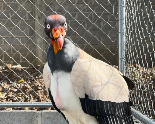 Investigación científica